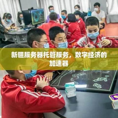 新疆服务器托管服务，数字经济的加速器