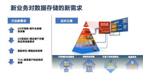 独立托管服务器，企业数字化转型的基石