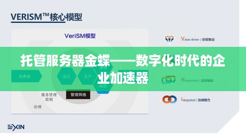 托管服务器金蝶——数字化时代的企业加速器