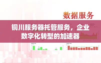 铜川服务器托管服务，企业数字化转型的加速器