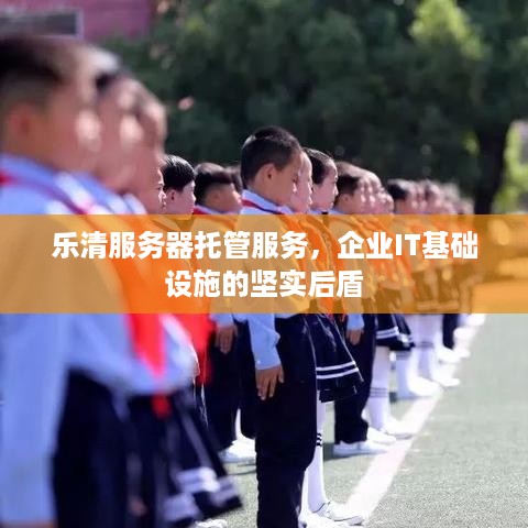 乐清服务器托管服务，企业IT基础设施的坚实后盾