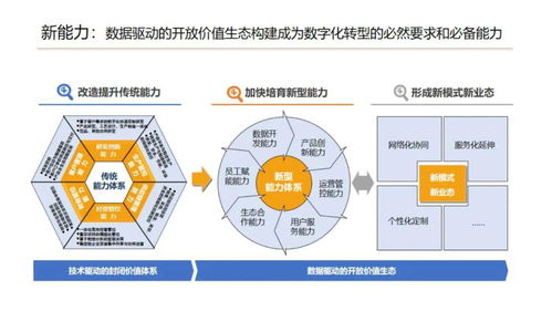 服务器托管线，企业数字化转型的加速器