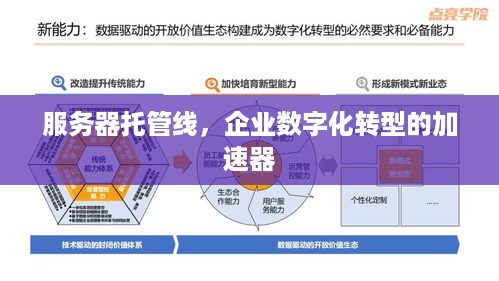 服务器托管线，企业数字化转型的加速器