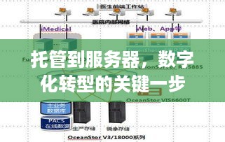 托管到服务器，数字化转型的关键一步