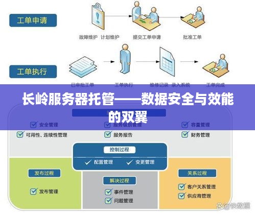 长岭服务器托管——数据安全与效能的双翼