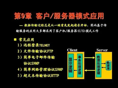 服务器托管投诉，服务中断与技术难题的反思