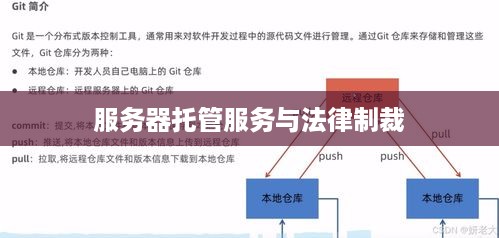 服务器托管服务与法律制裁