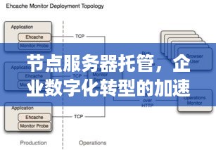 节点服务器托管，企业数字化转型的加速器