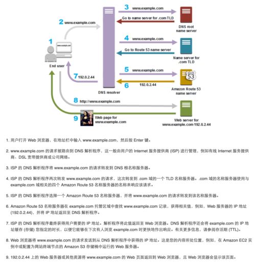 托管服务器合约，保障与责任的平衡艺术