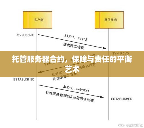 托管服务器合约，保障与责任的平衡艺术