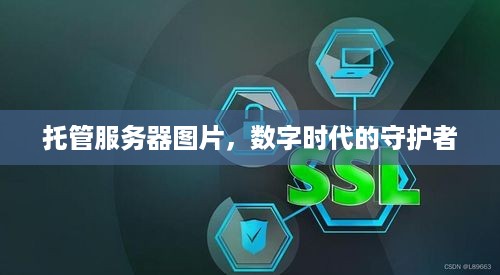 托管服务器图片，数字时代的守护者