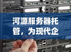 河源服务器托管，为现代企业提供高效、安全的数据存储解决方案