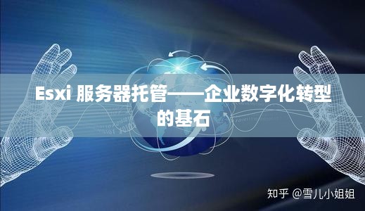 Esxi 服务器托管——企业数字化转型的基石