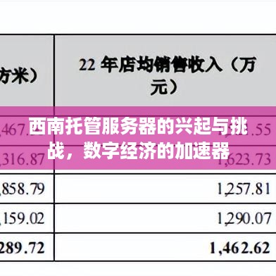 西南托管服务器的兴起与挑战，数字经济的加速器