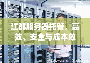 江都服务器托管，高效、安全与成本效益的完美结合