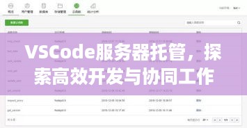 VSCode服务器托管，探索高效开发与协同工作的未来