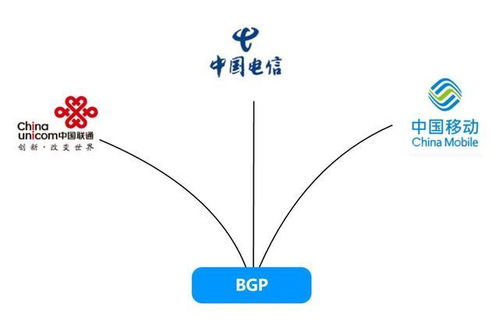 双线服务器托管——确保业务连续性的可靠选择