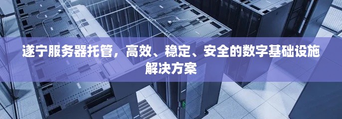 遂宁服务器托管，高效、稳定、安全的数字基础设施解决方案