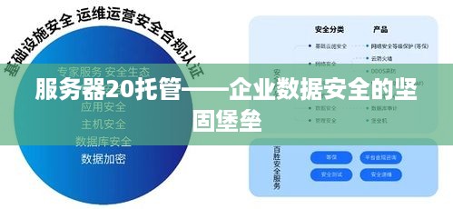 服务器20托管——企业数据安全的坚固堡垒