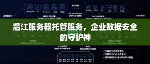 温江服务器托管服务，企业数据安全的守护神