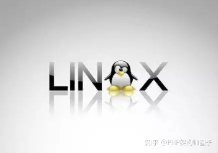 Linux服务器托管的全面解析，优势、挑战与最佳实践