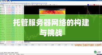 托管服务器网络的构建与挑战