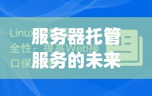 服务器托管服务的未来，安全、成本与创新的融合