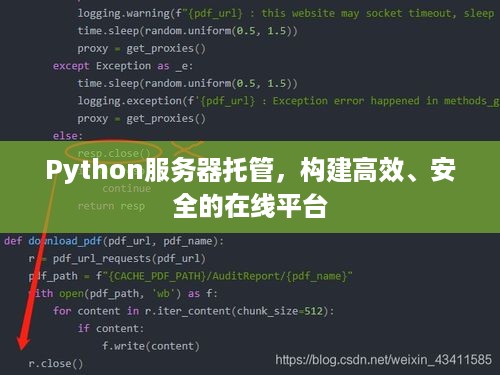 Python服务器托管，构建高效、安全的在线平台