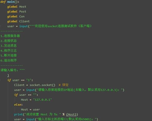 Python服务器托管，构建高效、安全的在线平台