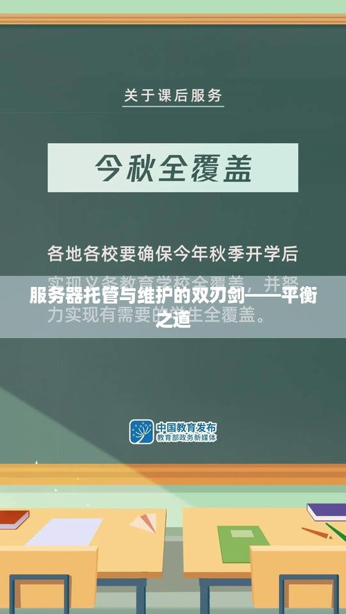 服务器托管与维护的双刃剑——平衡之道