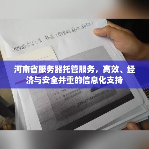 河南省服务器托管服务，高效、经济与安全并重的信息化支持