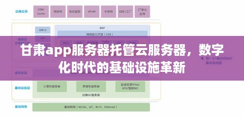 甘肃app服务器托管云服务器，数字化时代的基础设施革新