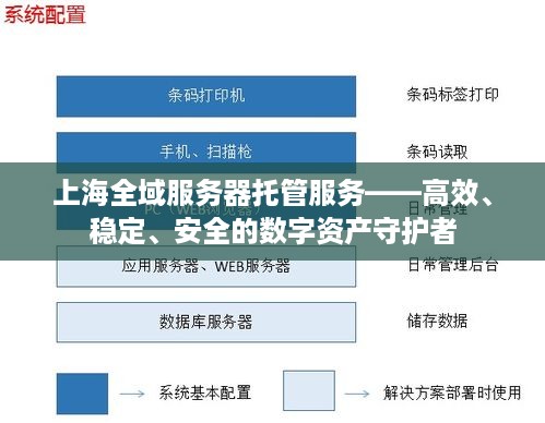 上海全域服务器托管服务——高效、稳定、安全的数字资产守护者