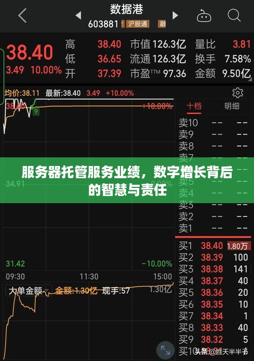 服务器托管服务业绩，数字增长背后的智慧与责任