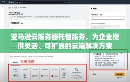 亚马逊云服务器托管服务，为企业提供灵活、可扩展的云端解决方案