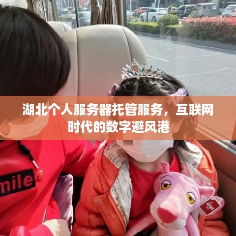 湖北个人服务器托管服务，互联网时代的数字避风港