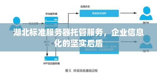 湖北标准服务器托管服务，企业信息化的坚实后盾