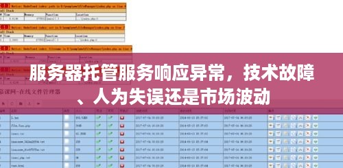 服务器托管服务响应异常，技术故障、人为失误还是市场波动