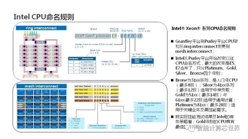 探索实体服务器托管服务的全面解析