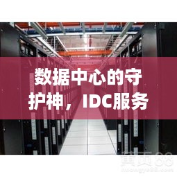 数据中心的守护神，IDC服务器托管服务