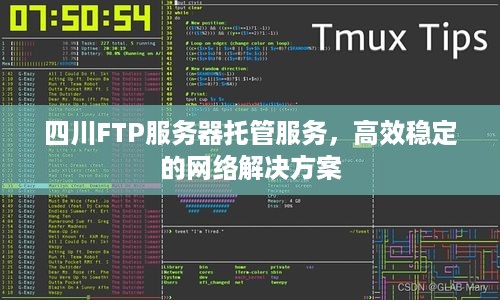 四川FTP服务器托管服务，高效稳定的网络解决方案