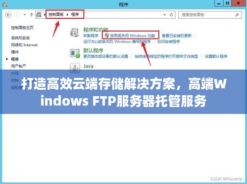 打造高效云端存储解决方案，高端Windows FTP服务器托管服务