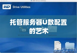托管服务器U数配置的艺术