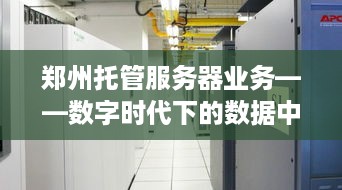 郑州托管服务器业务——数字时代下的数据中心革命