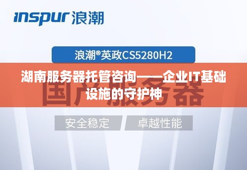 湖南服务器托管咨询——企业IT基础设施的守护神