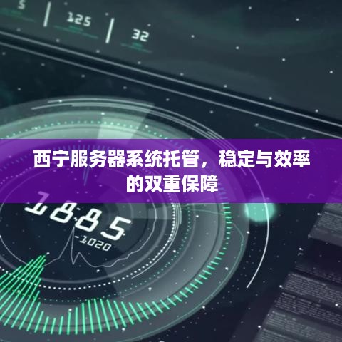 西宁服务器系统托管，稳定与效率的双重保障