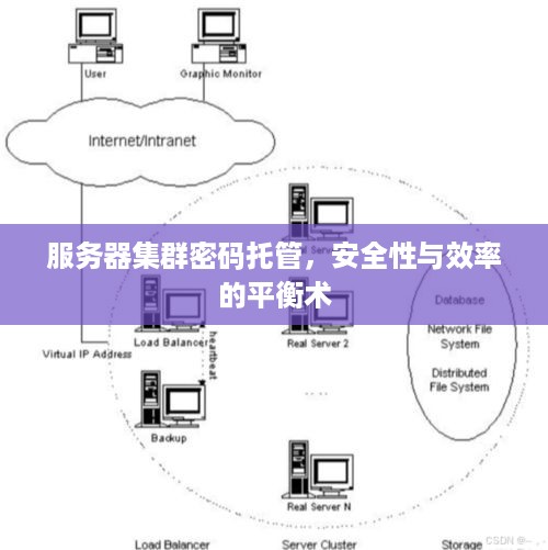 服务器集群密码托管，安全性与效率的平衡术