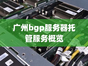 广州bgp服务器托管服务概览