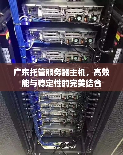 广东托管服务器主机，高效能与稳定性的完美结合