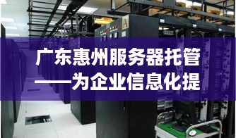 广东惠州服务器托管——为企业信息化提供坚实后盾